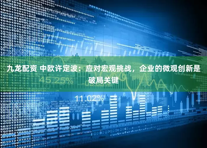 九龙配资 中欧许定波：应对宏观挑战，企业的微观创新是破局关键